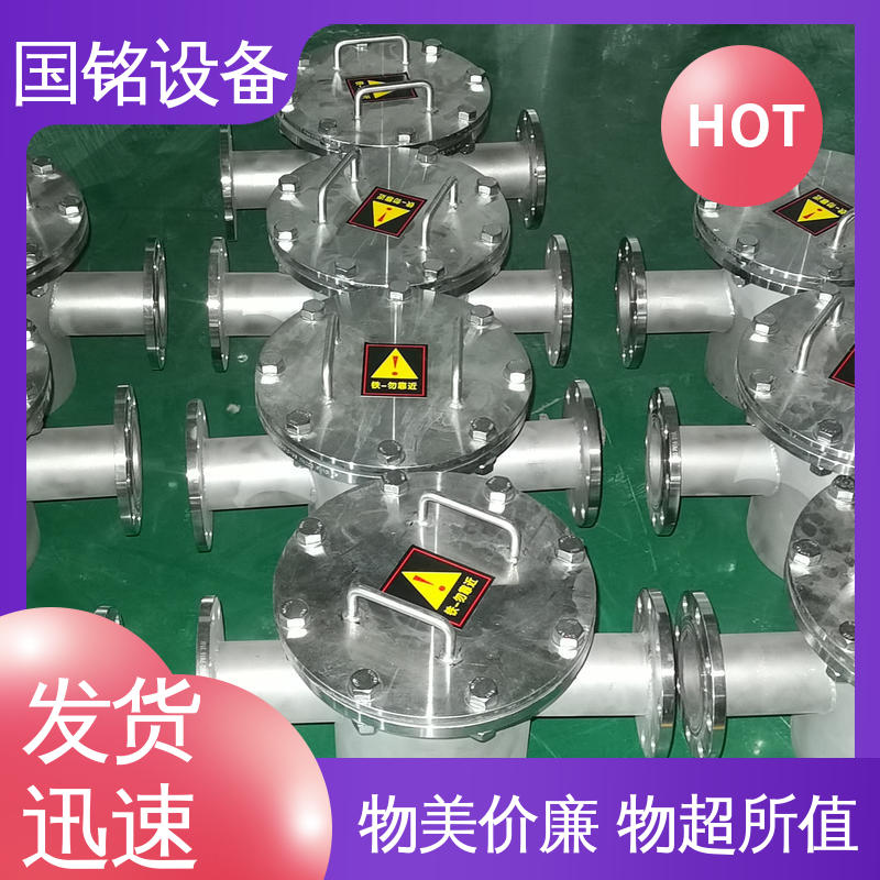 旋转式格栅 易于安装 化工 永磁铁除铁器的 国铭设备