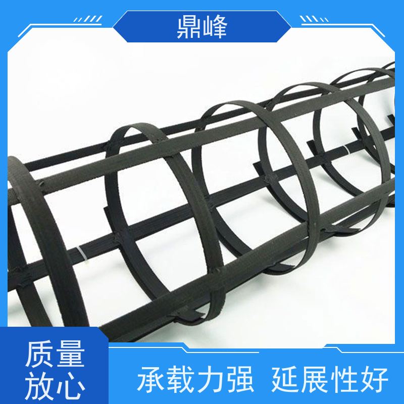 鼎峰 pp土工格栅 可耐酸、碱、盐等 能够适应各种不规则的表面