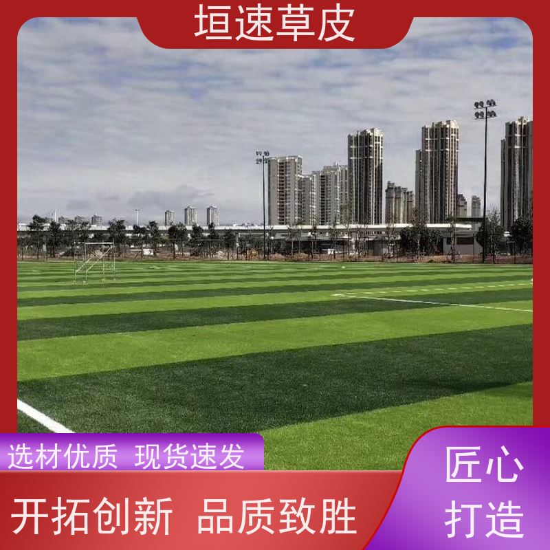 垣速 足球场建设施工耐用强劲 加密人造草坪造价 杭州标准门球场制作