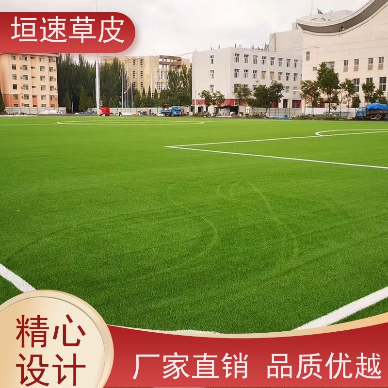 垣速 足球场场地翻新承载力强 篮球场草坪施工队 嘉兴足球场制作施工
