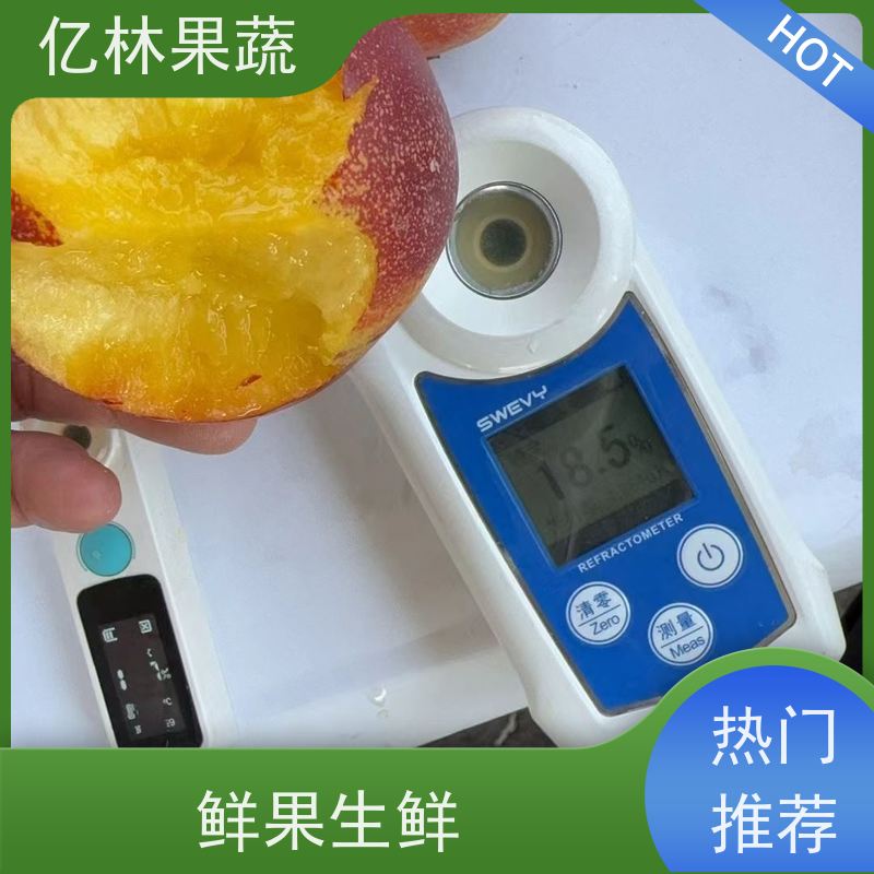 亿林果蔬新品种 黑皇后油桃 适应性强基地现挖现发易成活