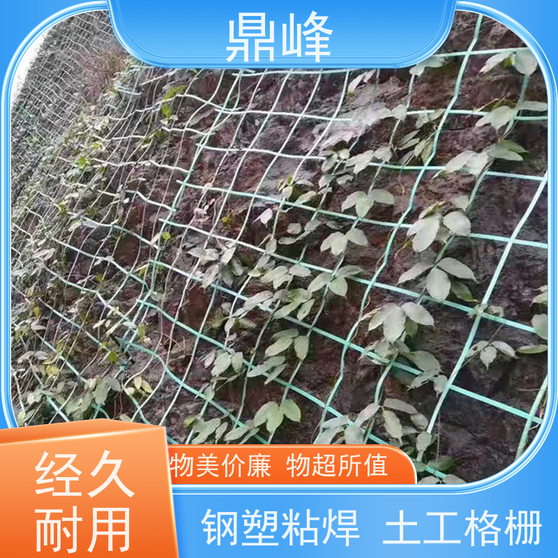 鼎峰 焊接聚酯土工格栅 延展性好 具有一定的柔软性