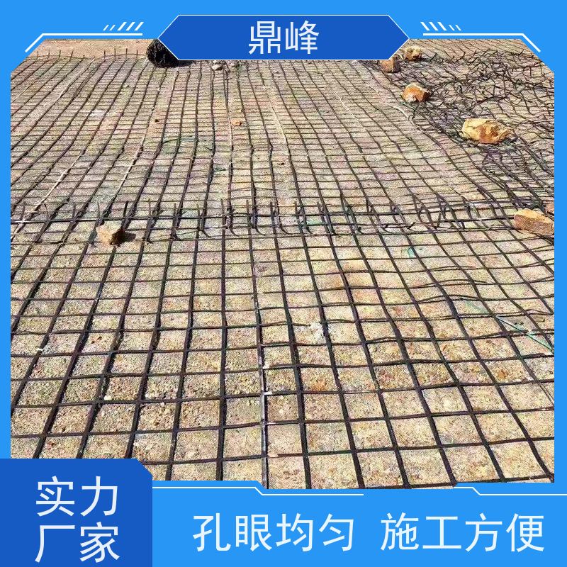 鼎峰 双向焊接纤维土工格栅 孔眼均匀 提高工程的安全性