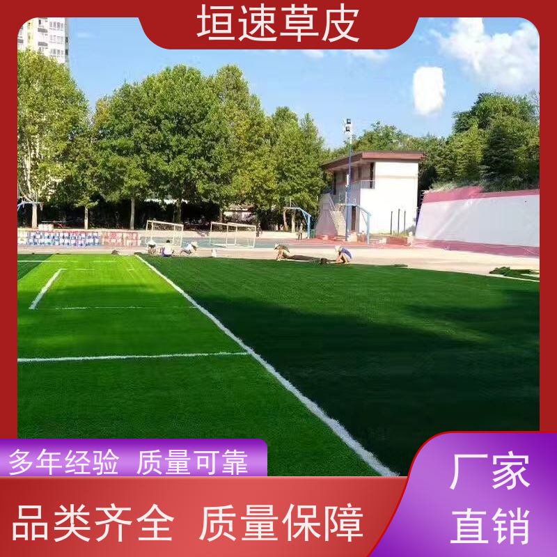 垣速 建设足球场地吸震性能好 塑料草坪厂家施工工艺 宁波门球场建设
