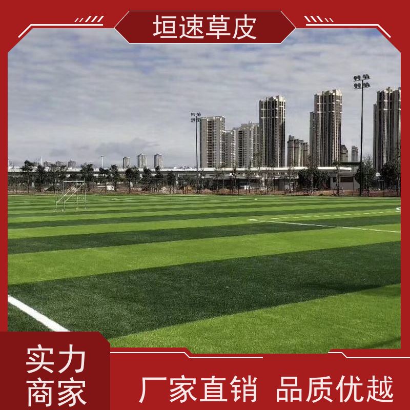 垣速 无锡建造一片门球场 修建足球场地弹性防滑 人造草网球场单价