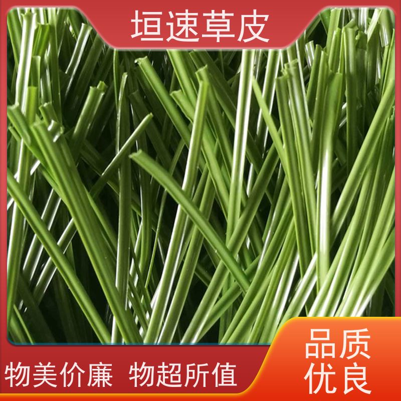 垣速 杭州足球场建筑 足球场草坪重建色彩丰富 加密人造草坪造价