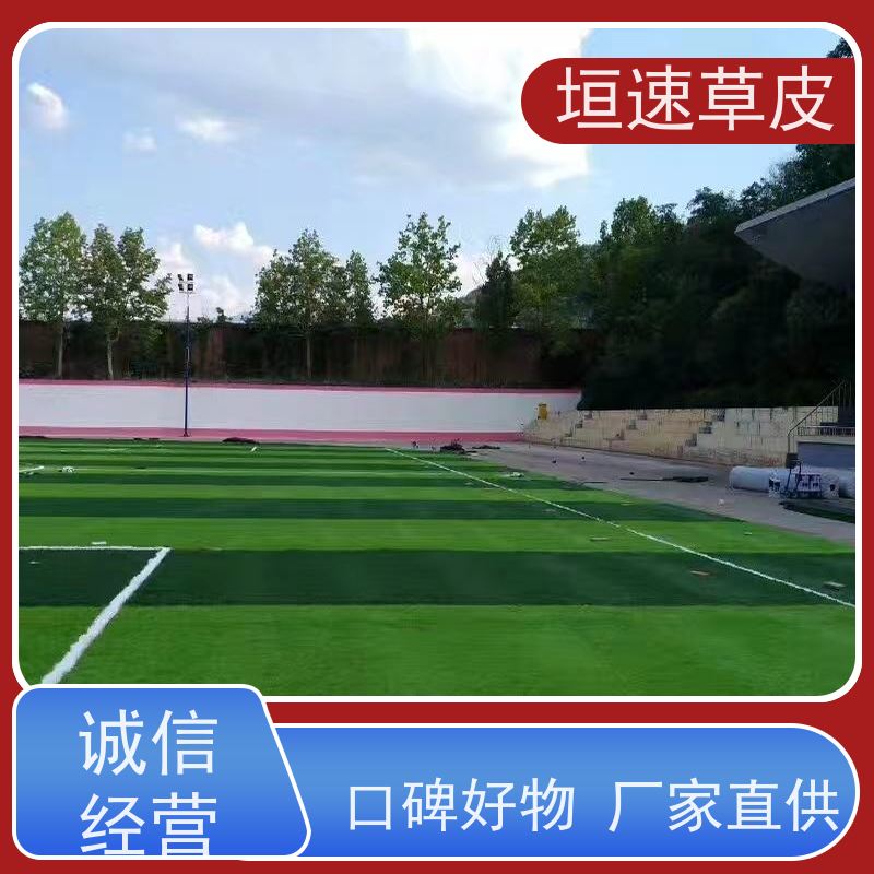 垣速 足球场装修吸震性能好 足球场地草皮专卖厂家 杭州足球场建筑