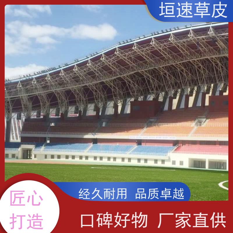 垣速 上海门球场地修建 门球场场地工程承载力强 塑胶足球场基地直供
