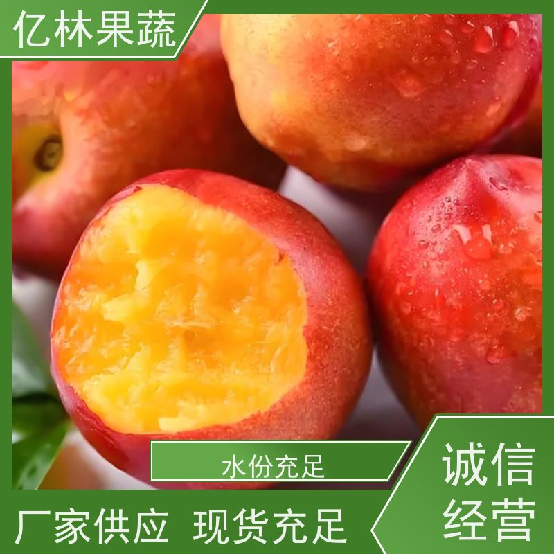 砀山油桃 中油18 新鲜水果桃子批发 口感甜脆 清香可口 全国产地代办