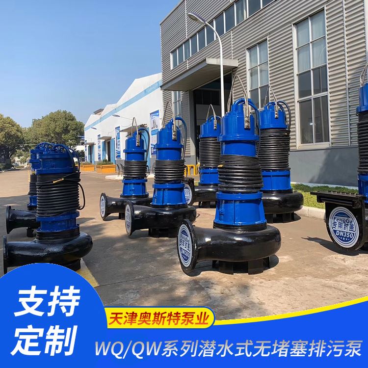  天 津大流量潜水排污泵 用于工业和城市给排水 货源充足 厂家定制