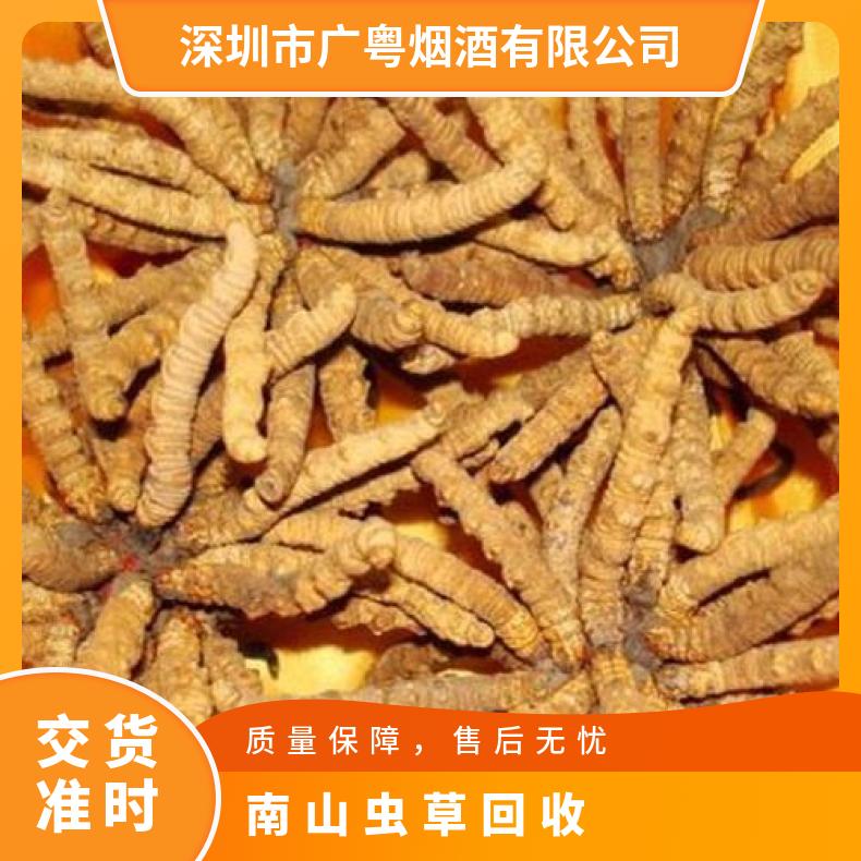 南山虫草回收散装礼盒装虫草高价收购 24小时在线报价