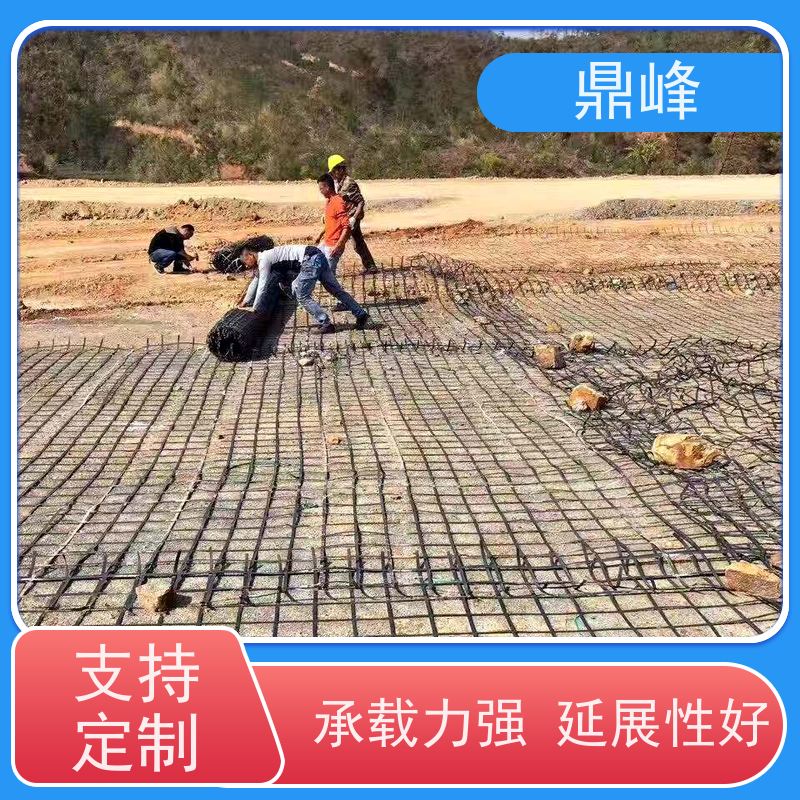 鼎峰 高强纤塑土工格栅 强度高韧性好 软土地基挡土墙加筋格栅