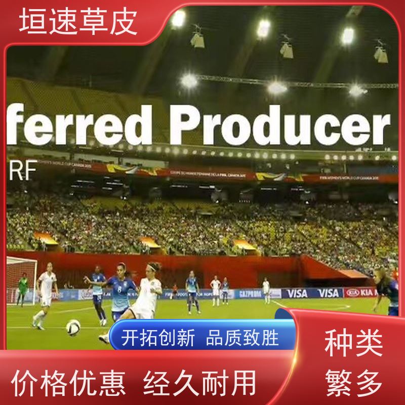 垣速 上海足球场承建 五人制足球场修建多色可选 网球场草皮材料成本
