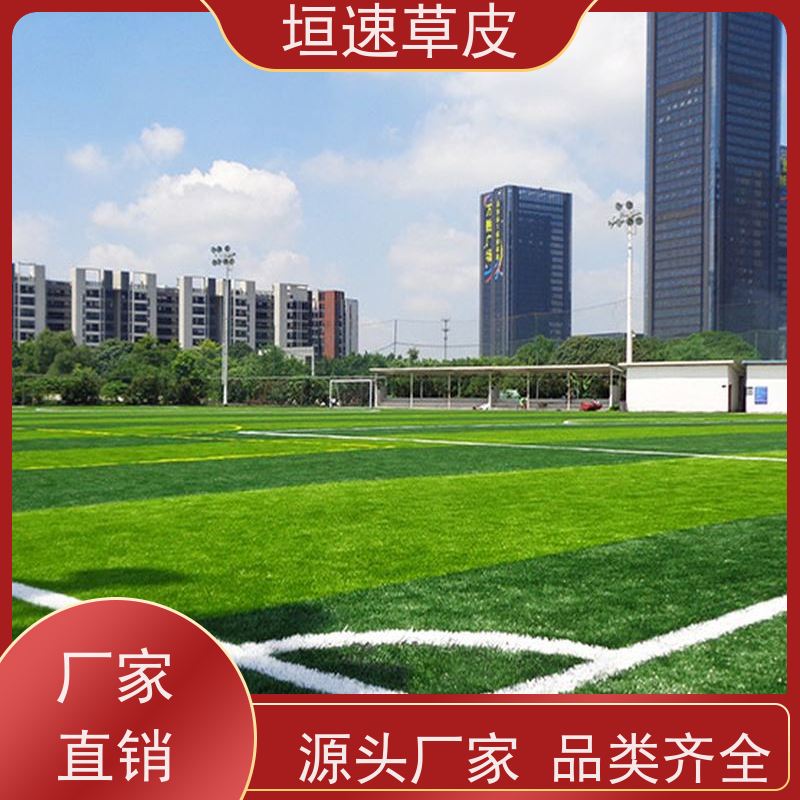 垣速 五人制足球场修建多色可选 加密人造草坪造价 上海橄榄球场建设