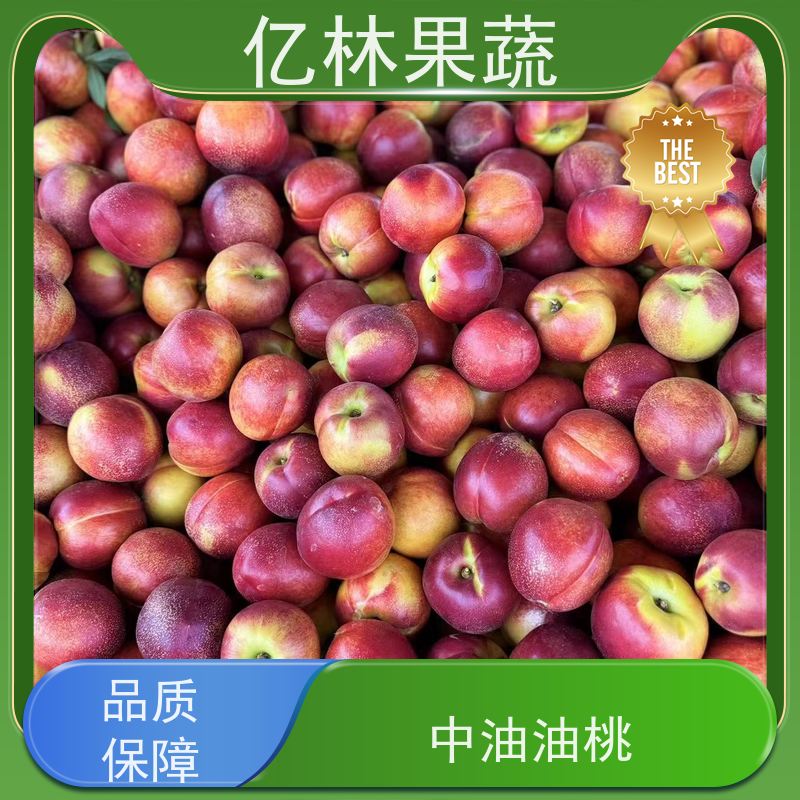 48油桃 中油5号 新鲜水果桃子批发 口感甜脆 清香可口 现摘现发
