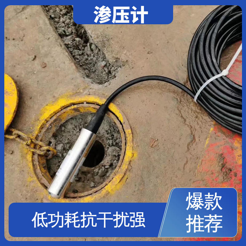 长期在线监测 基岩渗漏及稳定性 孔隙水压力计 水库水利大坝 