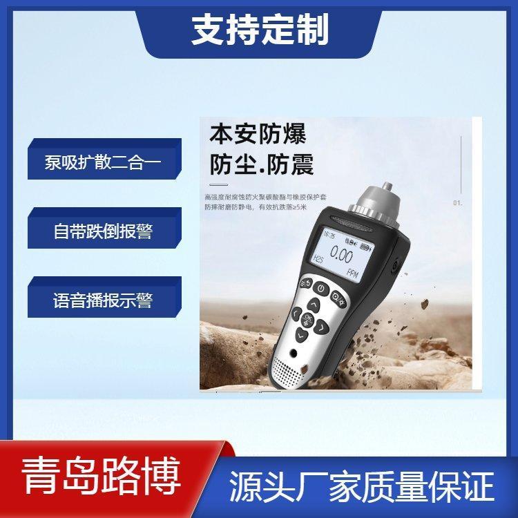 便携式单一气体检测仪 泵吸扩散二合一检测 自带跌倒报警 TYPE-C快充
