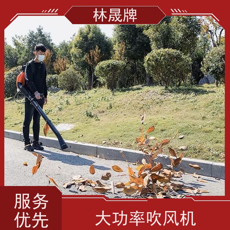 林晟牌 马路树叶吹风机 四冲程风力灭火机 应用范围广 货源充足