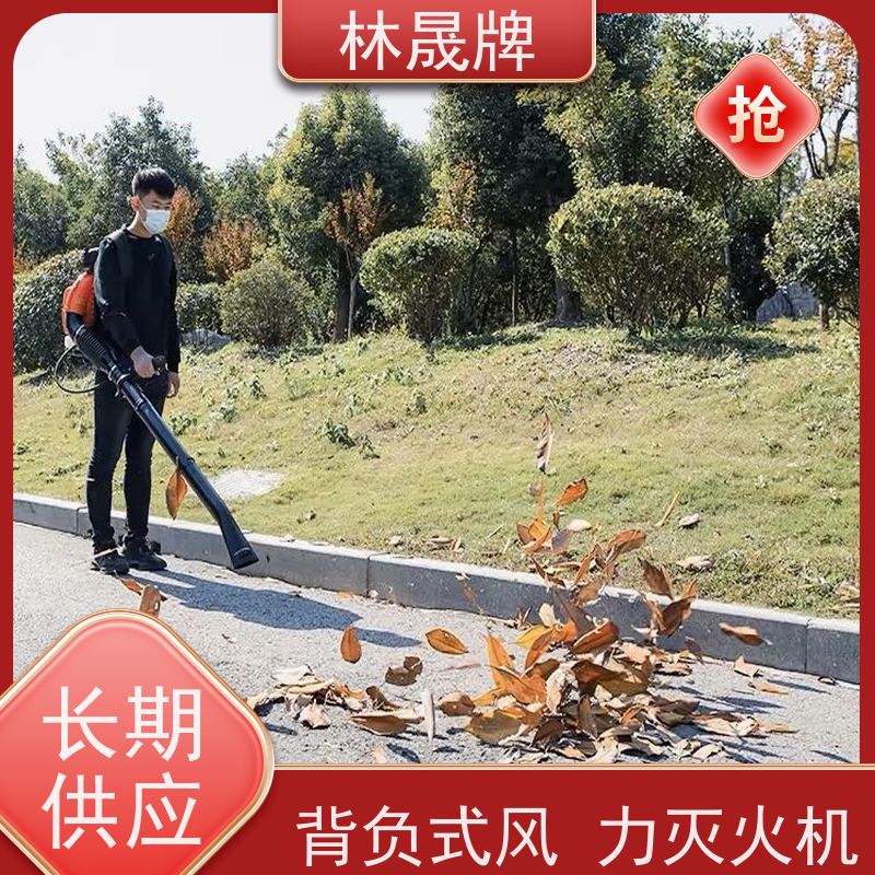 林晟牌 马路树叶吹风机 灭火器 风量大 性能稳定 长期供应