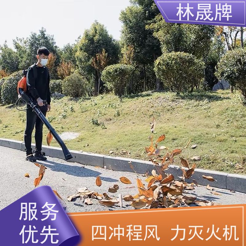 林晟牌 大棚落叶清理吹雪机 大功率吹风机 6MF-23-51 质量可信