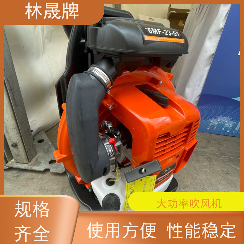 林晟牌 马路树叶吹风机 背负式风力灭火机 使用灵活 操作方便 库存充足