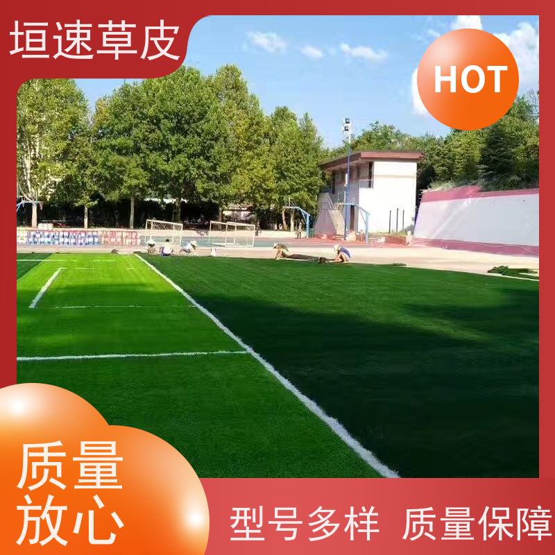 垣速 笼式足球场建造弹性防滑 人工假草皮价钱 宁波门球场建设