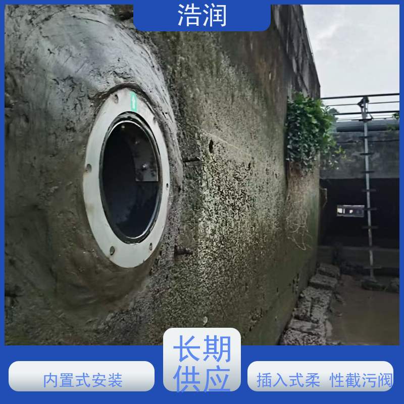 浩润 长期供应 管中型内置式防倒灌器 304不锈钢 可定制