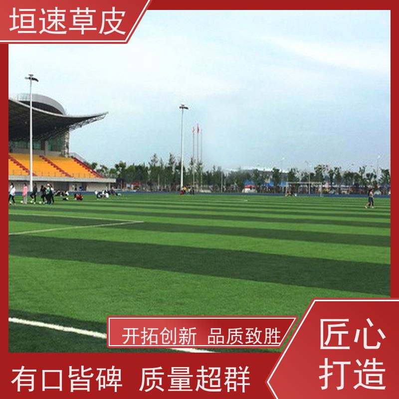 垣速 足球场草坪翻新按需定制 加密人造草坪造价 嘉兴足球场制作施工