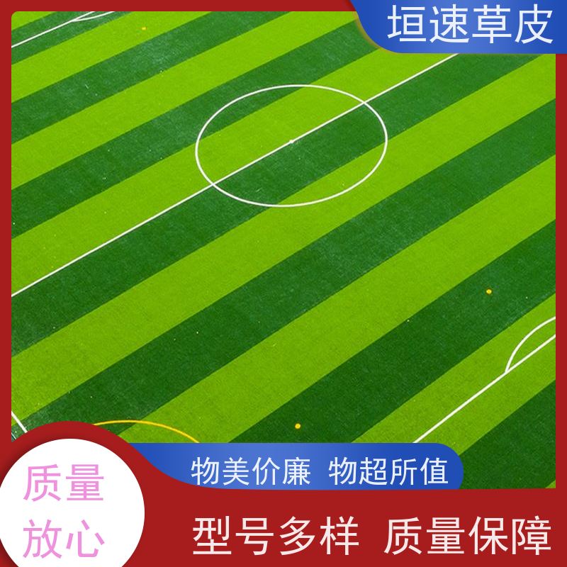 垣速 上海足球场承建 修建足球场地弹性防滑 人工假草皮价钱