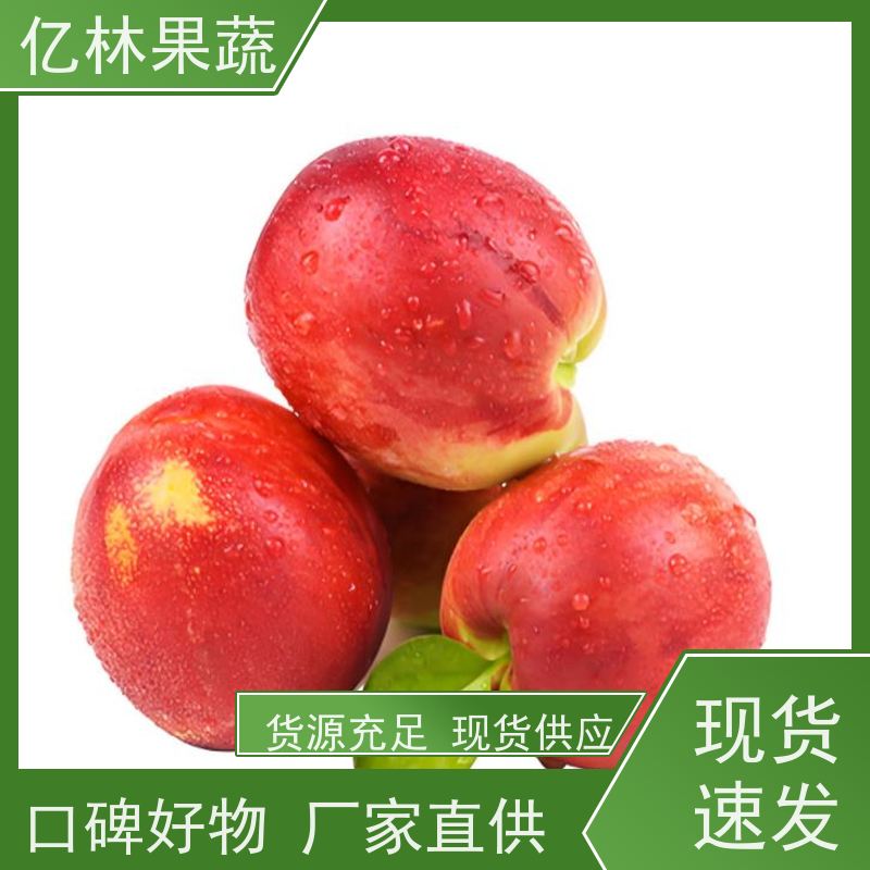 亿林果蔬农业 珍珠枣油亿林果蔬供应 8月份成熟品种 基地现挖