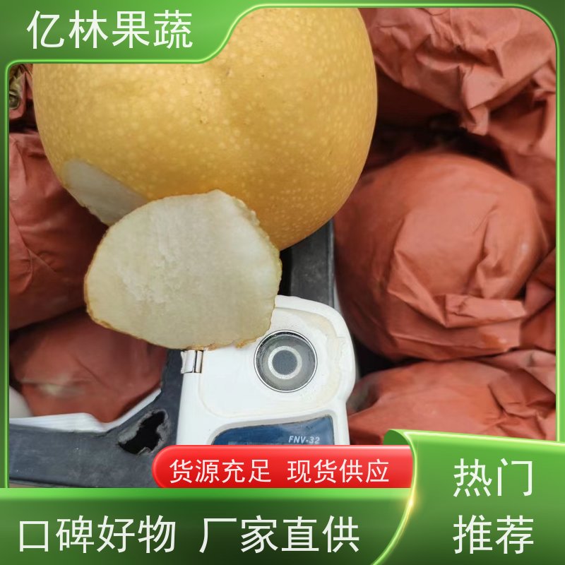 亿林苗木 基地培育 新品种梨苗 香甜可口 玉露香梨树苗