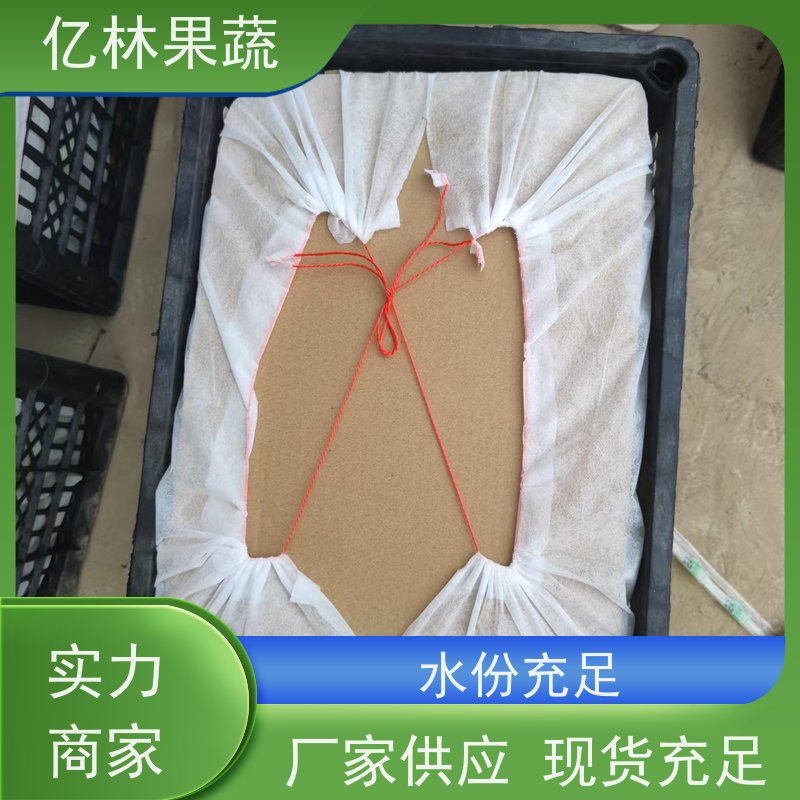 亿林苗木 基地培育 中秋红梨树苗 晚熟品种梨 口感脆甜