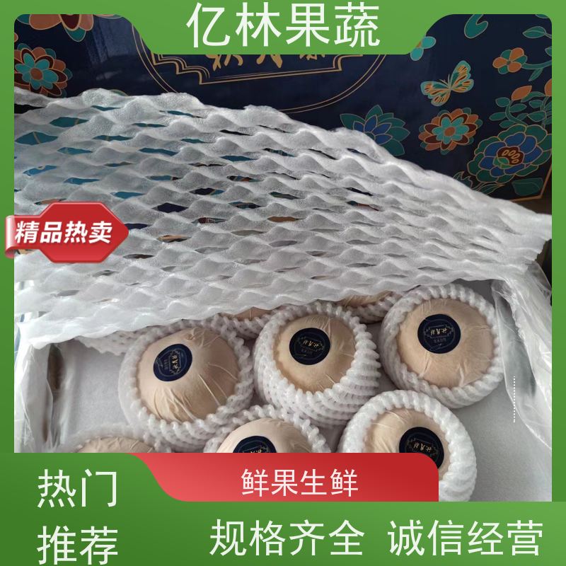 亿林苗木 中华玉梨树苗 果实饱满味道好 嫁接技术指导 抗寒能力强