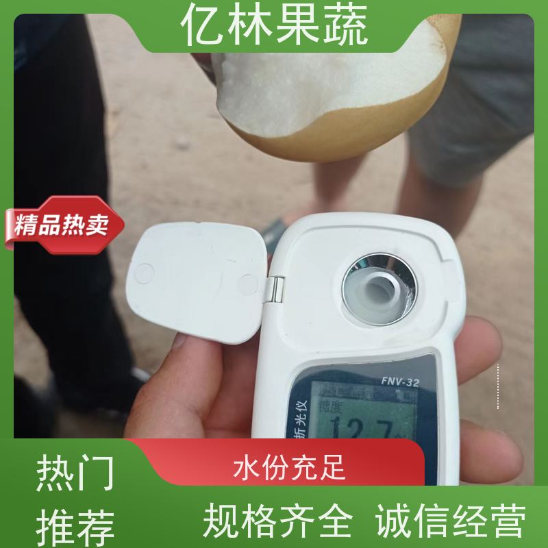 亿林苗木 园林嫁接桃苗 三公分现挖现发 品种齐全 基地直发