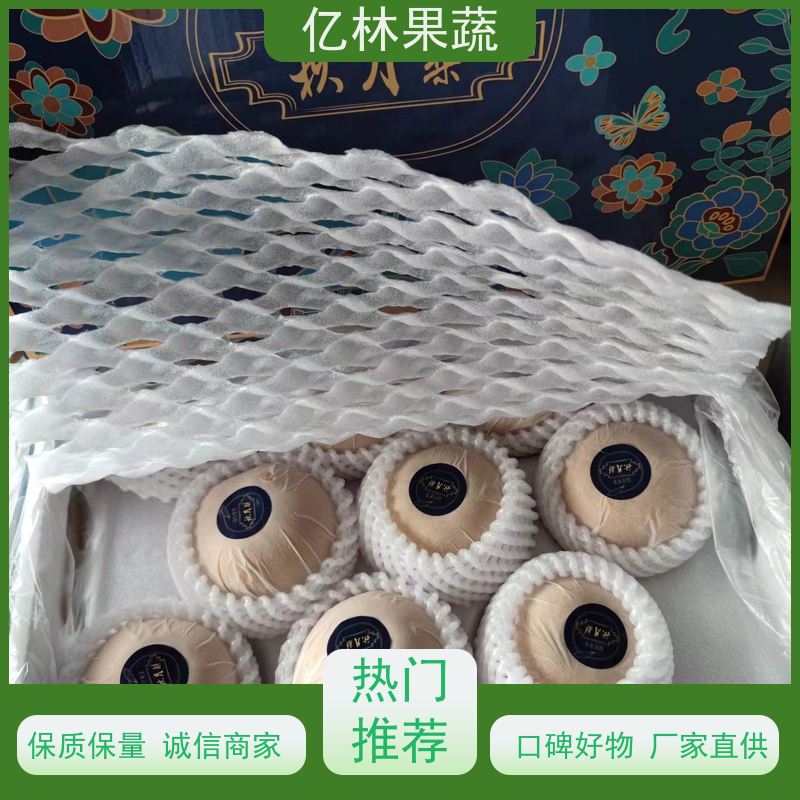 亿林苗木 基地直发 特产果树梨幼苗 中梨系列梨树苗