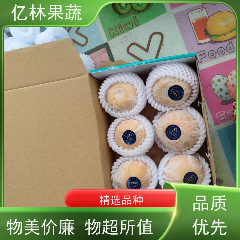 亿林苗木 成活率高 奥红梨树苗 新农酥梨 现挖现发