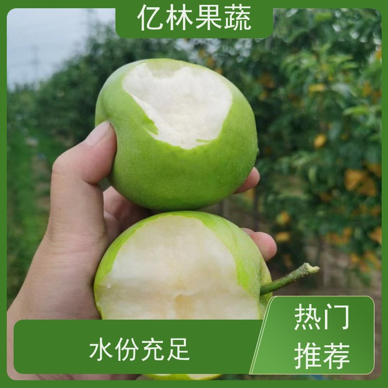基地供应 园林嫁接桃苗 现挖现发新鲜 粗两公分 根系饱满成活率高