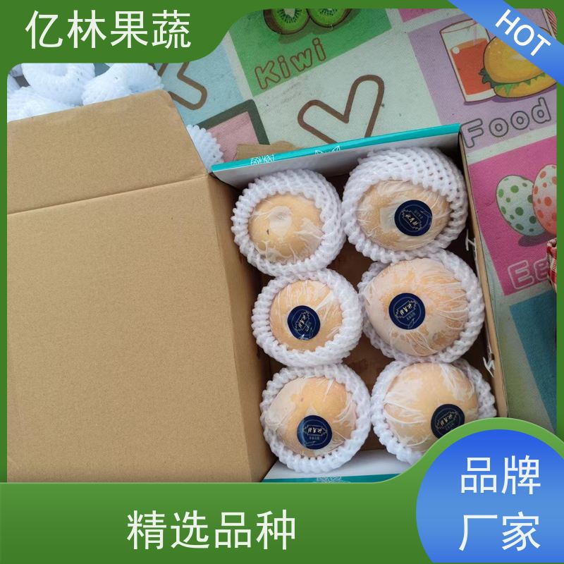亿林苗木 果实饱满味道好 新品种梨苗 香甜可口 金二十世纪树苗
