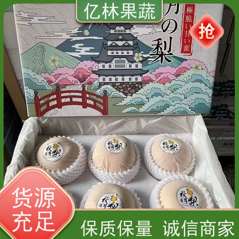 亿林苗木 金二十世纪树苗 果实饱满味道好 特产果树梨幼苗