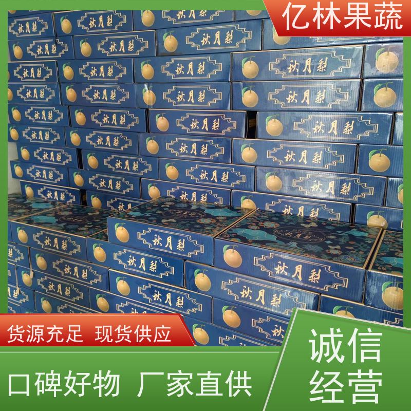 基地培育 果实饱满味道好 嫁接技术指导 抗寒能力强 早酥红梨苗
