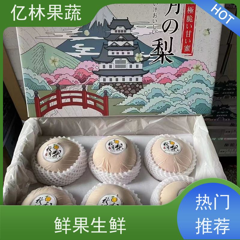 基地培育 中秋红梨树苗 成活率高 晚熟品种梨 口感脆甜