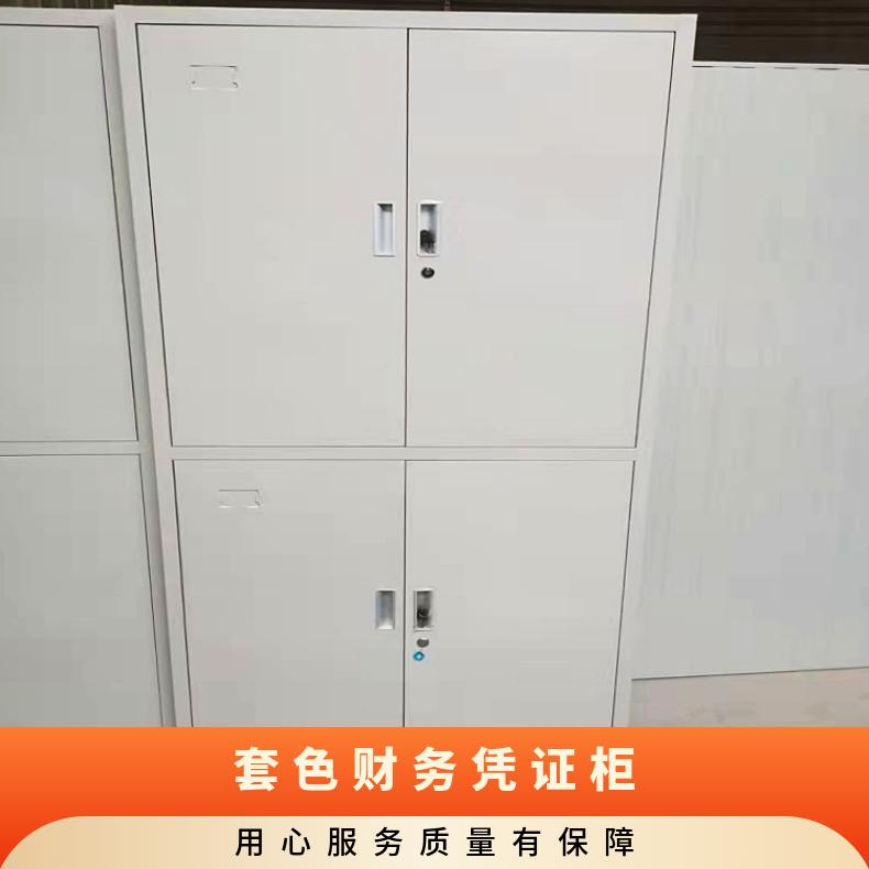 钢制 套色更衣柜可定制 拆装铁皮储物柜 文件财务凭证档案资料柜