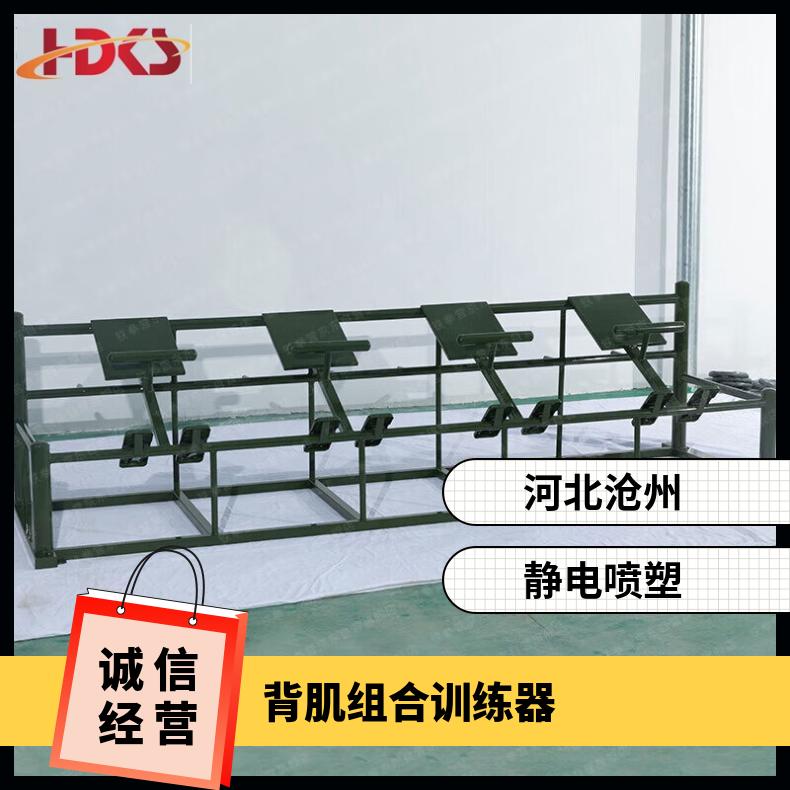 背肌组合训练器 健身体能训练器材