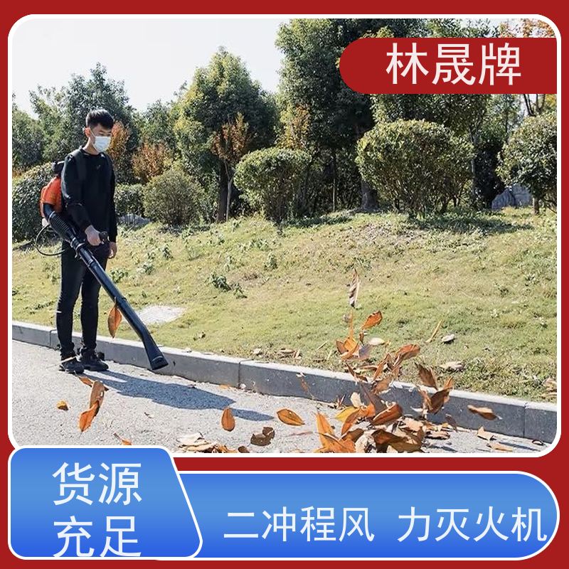 林晟牌 吹雪除尘灭火 风机 携带方便 使用效果好 品质可信