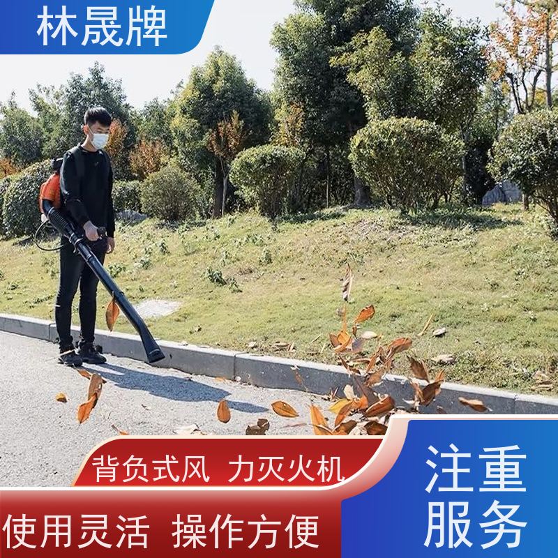 林晟牌 大功率背式吹尘除雪机 四冲程风力灭火机 应用范围广 质量可信