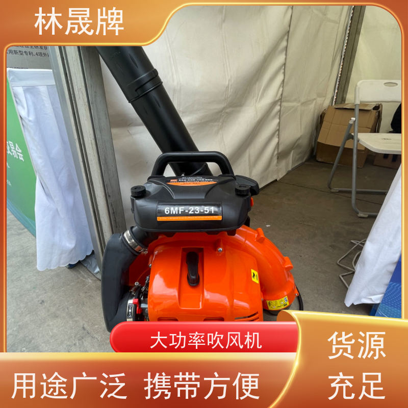 林晟牌 马路树叶吹风机 灭火器 背负式使用 支持定制