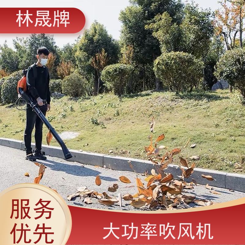 林晟牌 机械吹雪机 背负式风力灭火机 6MF-23-51 接受定制