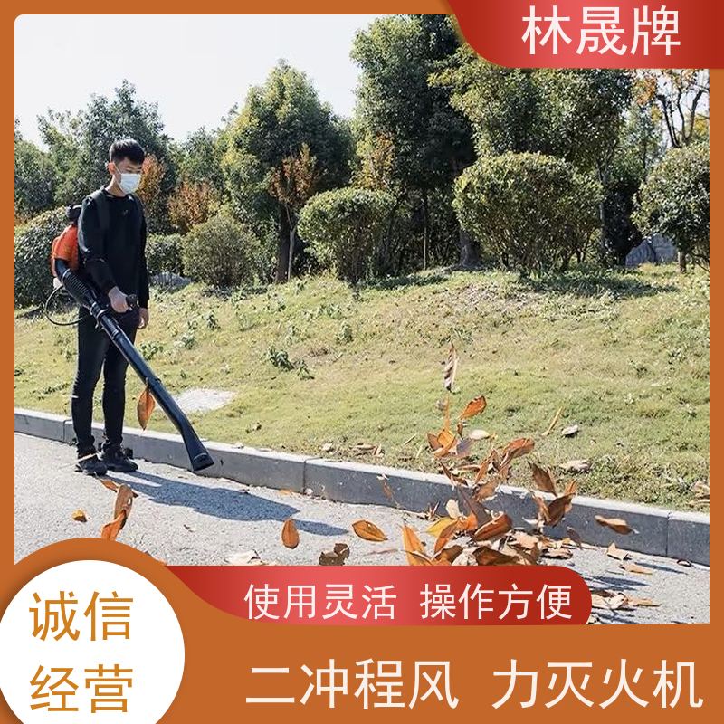 林晟牌 大功率背式吹尘除雪机 灭火器 使用方便 可按需定制