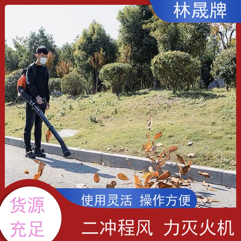 林晟牌 吹雪除尘灭火 吹风机 使用方便 库存充足