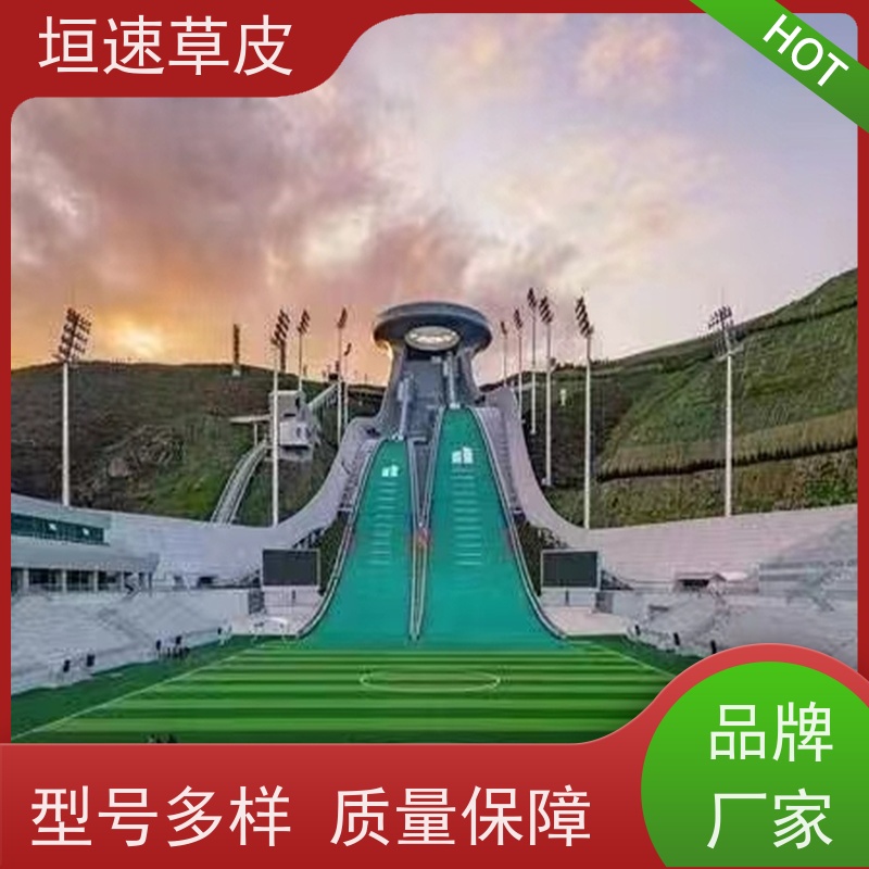 垣速 南通塑胶足球场修建 门球场场地工程承载力强 人造草网球场单价